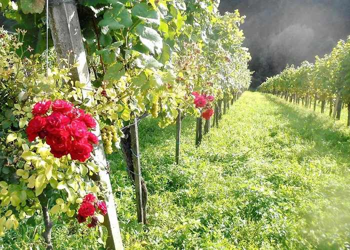 Ferienwohnungen Karin Am Seggauberg