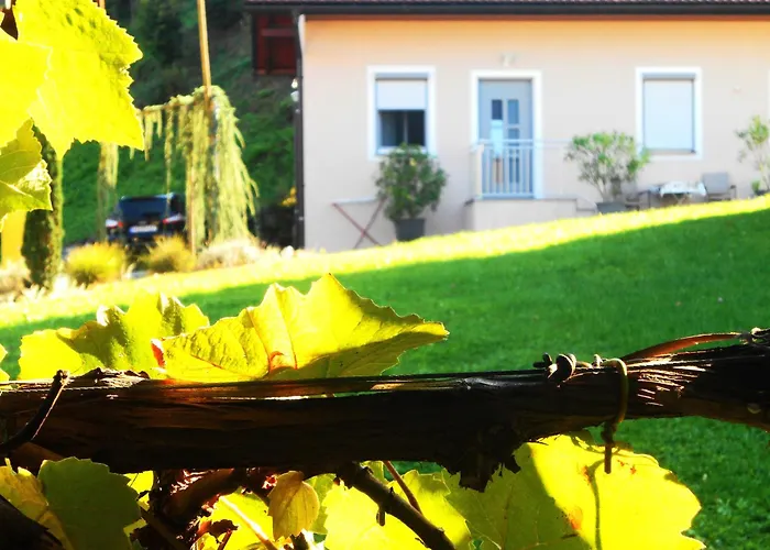 Ferienwohnungen Karin Am Seggauberg