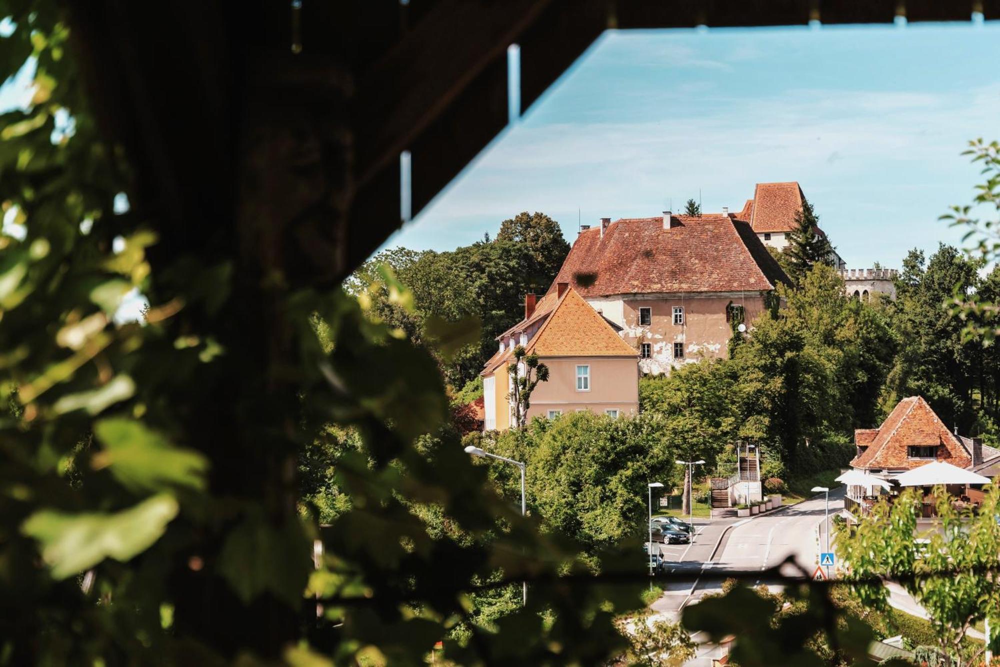 Apartment Karin Am Seggauberg Leibnitz