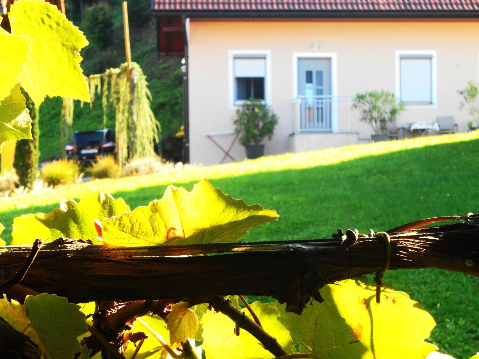 Karin Am Seggauberg Leibnitz